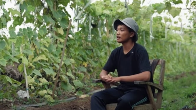 Muhammad Alfa Priandito, Penjual Sayur