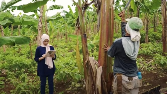 Nurul Ihsani, Pengusaha Banana Chips