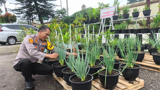 Kapolsek Jalan Cagak Subang, Kompol H. Acep Hasubullah, S.H., M.H