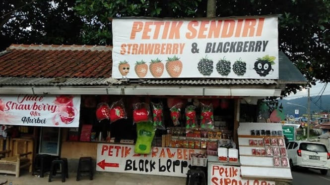 Petik sendiri Strawberry