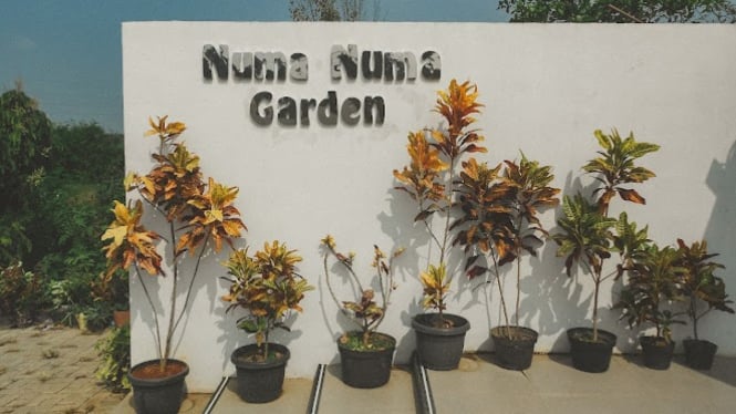 Numa Numa Garden Karawang