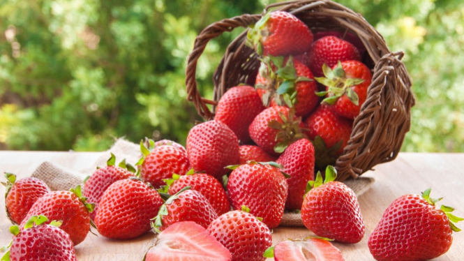 Menyimpan Strawberry