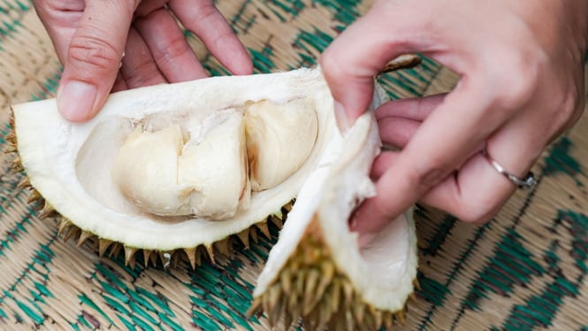 Membuka durian