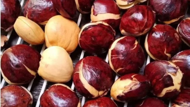 Jengkol