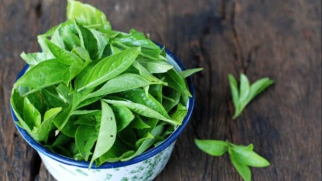 Daun Kemangi