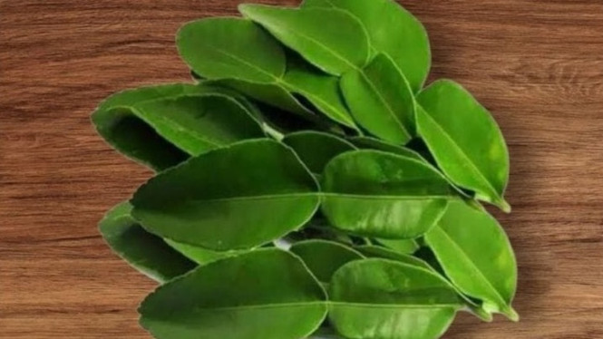 Daun Jeruk (Foto ilustrasi).