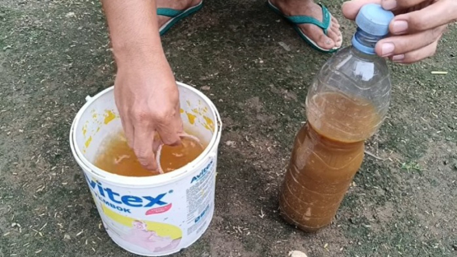 Pupuk dari Sampah Dapur.