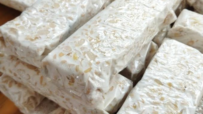 Tempe Segar