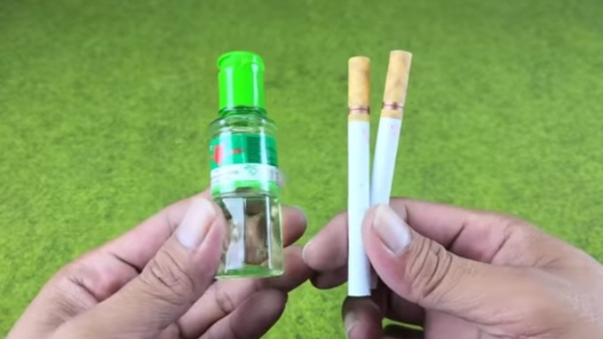 Minyak kayu putih dan rokok