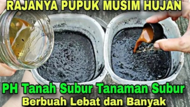 Pupuk anti badai