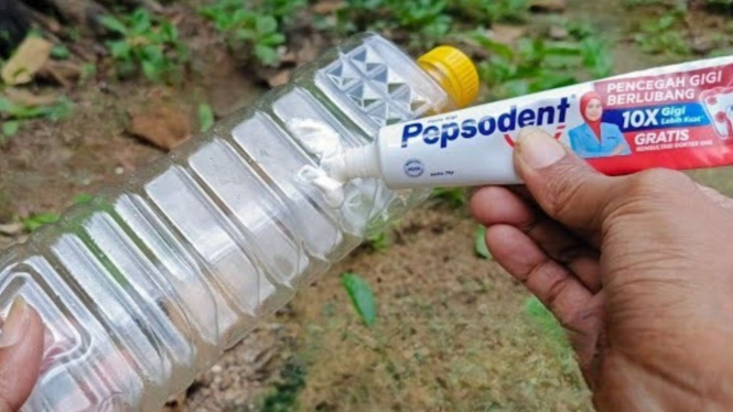 Ide Kreatif Botol Plastik