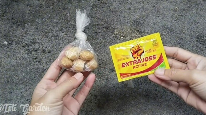 Ekstra joss dan kemiri buat pupuk