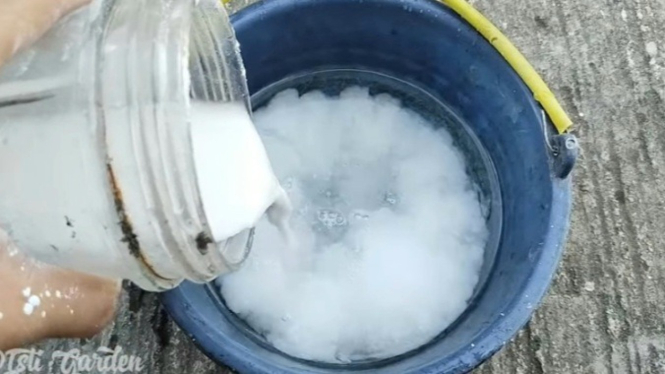 Pupuk dari tepung beras