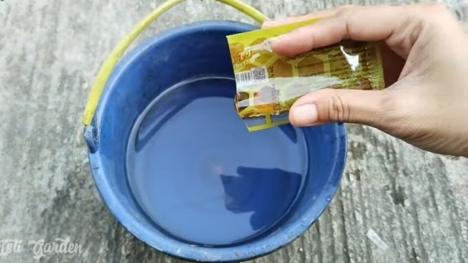 Racikan pupuk agar tanaman cepat berbuah