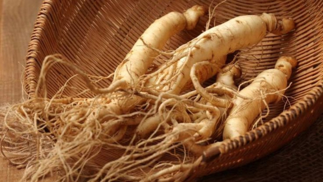 Gingseng