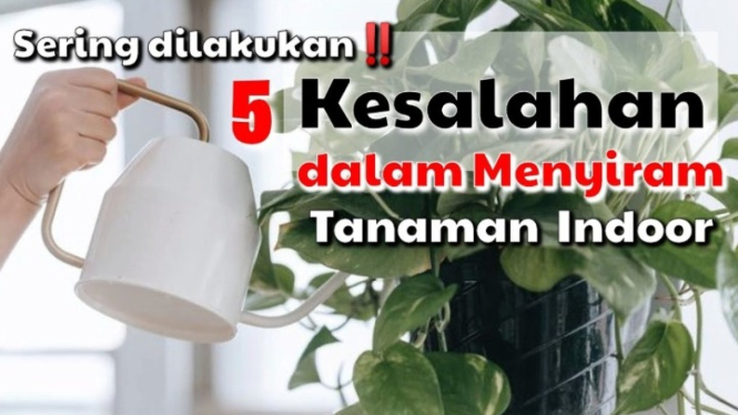 Kesalahan menyiram tanaman