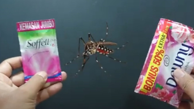 Tutorial Bebas Nyamuk dan Wangi