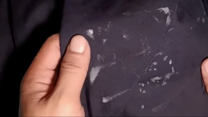Noda Cat di Celana Hitam