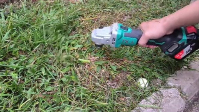 Tips Basmi Rumput Liar tanpa Racun dan Mesin Rumput, Halaman Rumah Auto ...