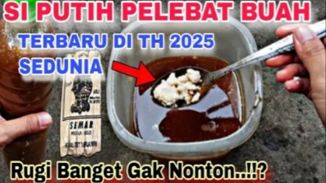 Racika pupuk super dahsyat