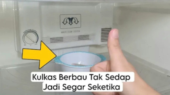 Kulkas bau tak sedap