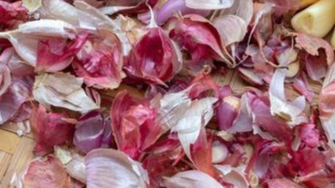Pupuk dari kulit bawang