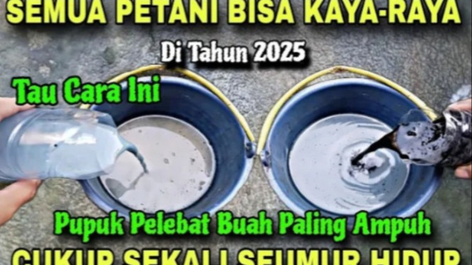Pupuk anorganik dari arang