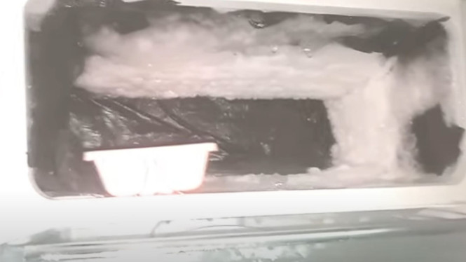Bunga es di freezer
