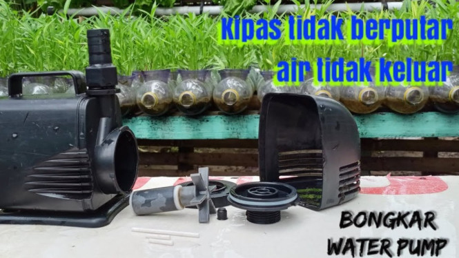 Memperbaiki water pump