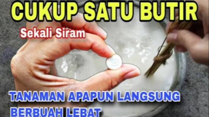 Bahan pupuk super dahsyat