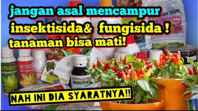 Insektisida dan Fungisida pada Tanaman