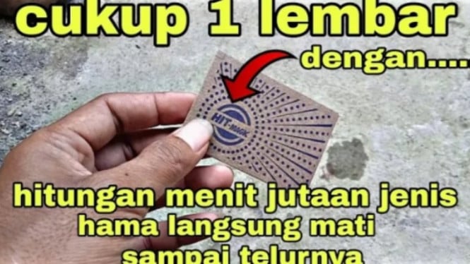 Bahan pestisida ampuh basmi hama tanaman