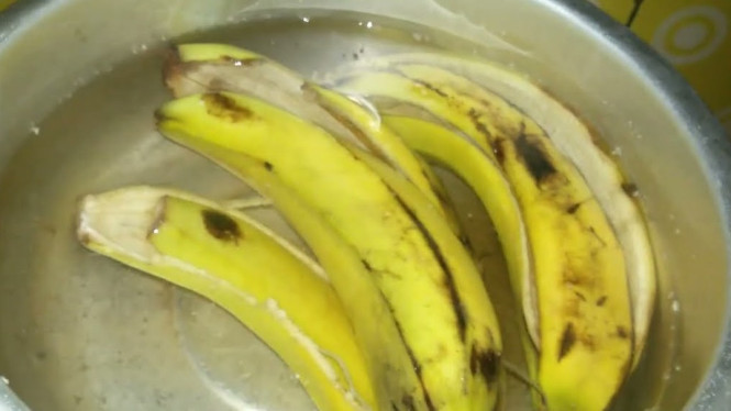 Manfaat kulit pisang untuk tanaman