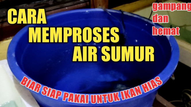 Air sumur untuk ikan hias