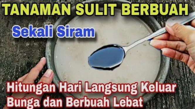 Pupuk Super Dahsyat