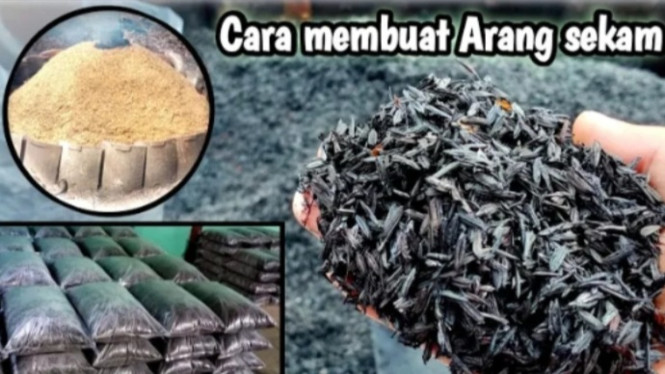 Membuat Arang Sekam