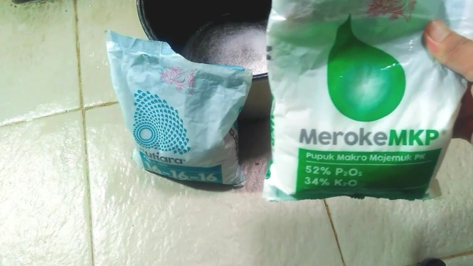 Racikan Pupuk NPK dan MKP
