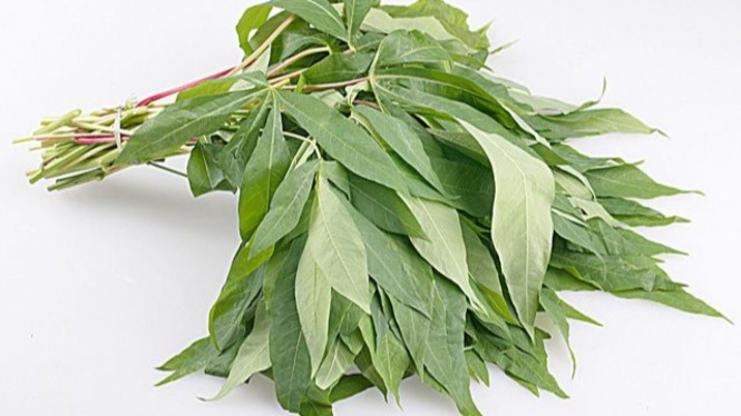 Daun singkong