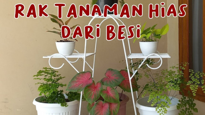 Rak tanaman dari besi