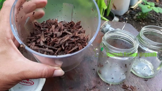 Pupuk Organik Kulit Pisang