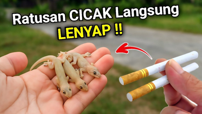Mengusir hewan