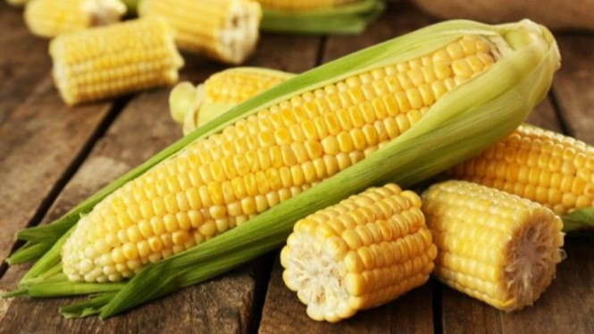 Jagung