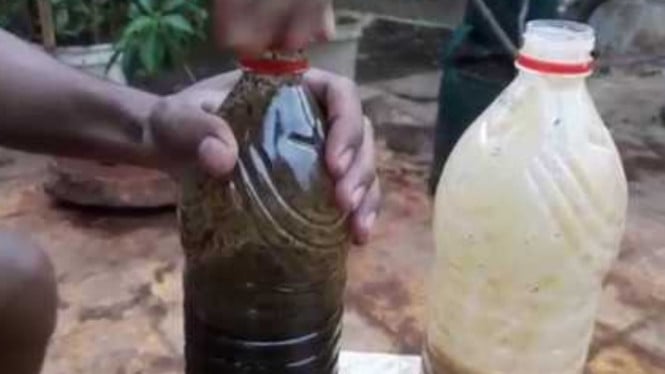 Pupuk Organik Cair Pisang