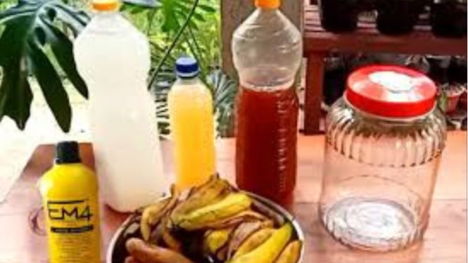 Ilustrasi POC Pisang Busuk
