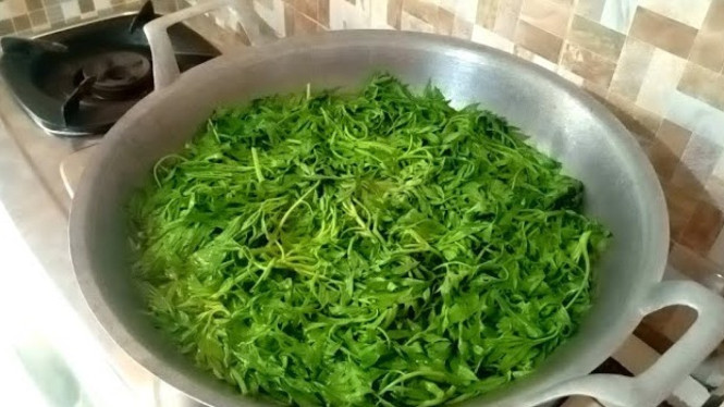Merebus daun kenikir