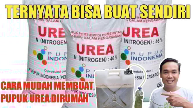 Cara Membuat Pupuk UREA Sendiri di Rumah