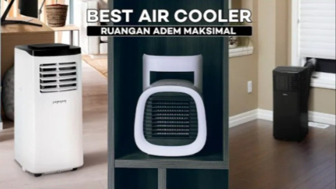 Air cooler