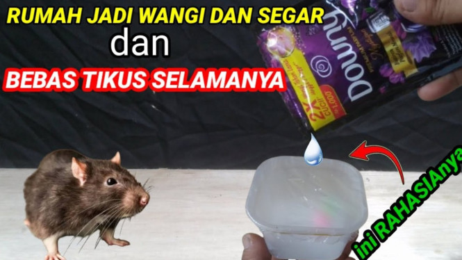ruangan wangi dan mengusir tikus