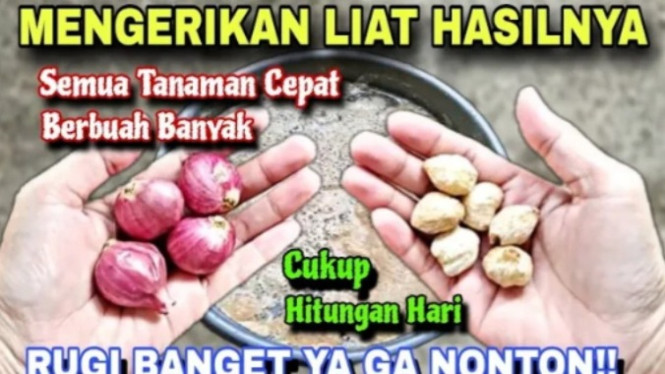 Pupuk organik super dahsyat