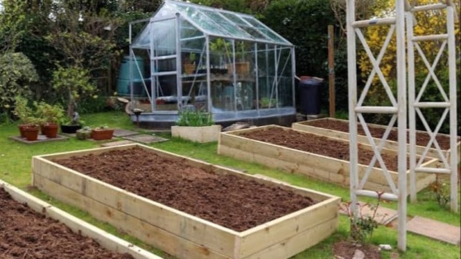 Raised Bed